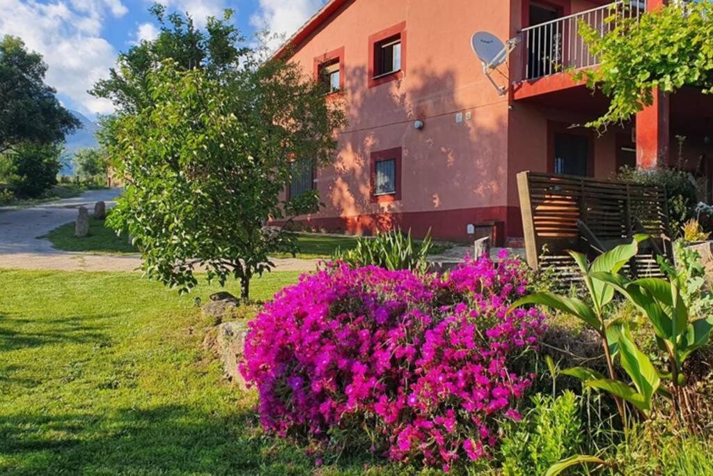 Casa Rural Las Traviesas 2 Candeleda Zewnętrze zdjęcie